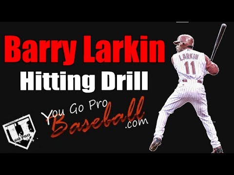 Baseball Hitting Drills - Barry Larkin Hitting Drill